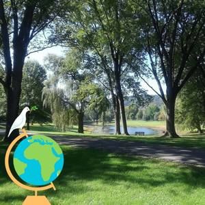 Meet your Posher, Gail